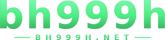 bh999h logo